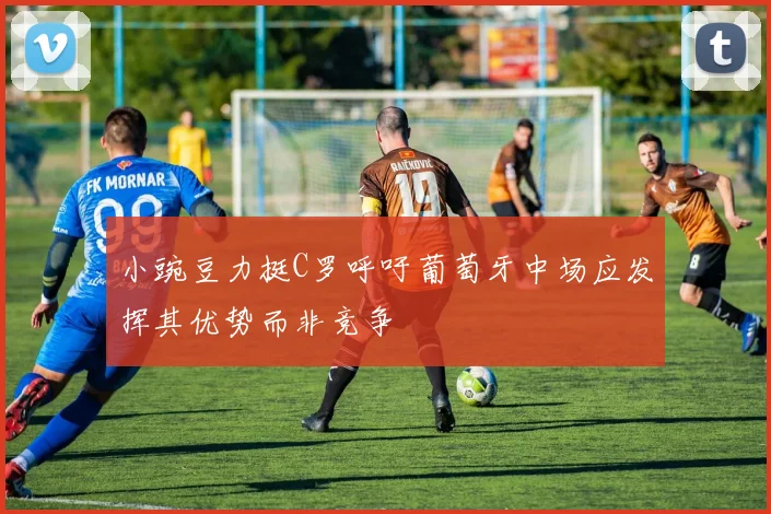 小豌豆力挺C罗呼吁葡萄牙中场应发挥其优势而非竞争