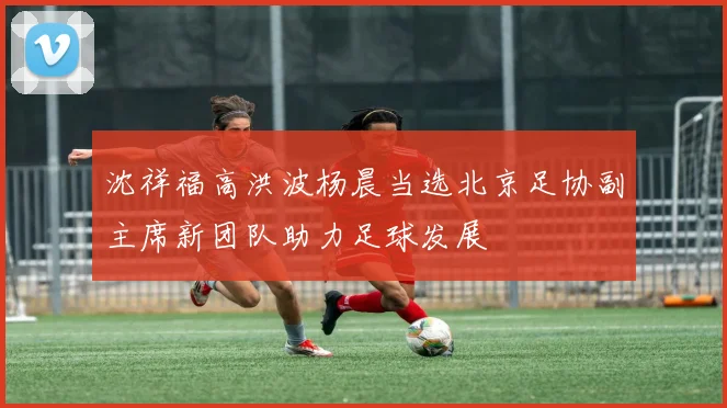 沈祥福高洪波杨晨当选北京足协副主席新团队助力足球发展